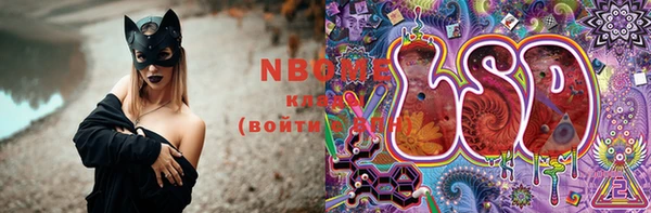 ПСИЛОЦИБИНОВЫЕ ГРИБЫ Баксан