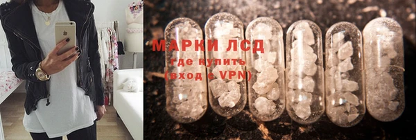 ПСИЛОЦИБИНОВЫЕ ГРИБЫ Баксан